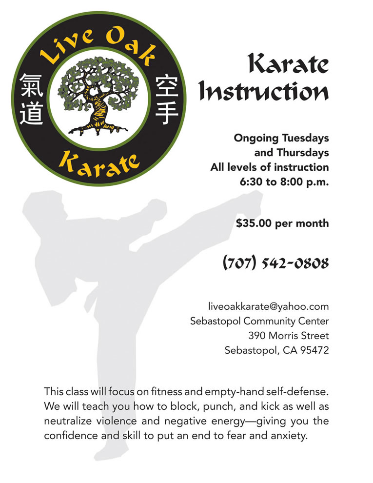 Live oak Karate Instruction