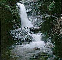 Cascade Falls